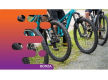 36703 Profitable Cycling Tourism Business - Somerset