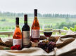 Wholesale Wine Distribution & Online Sales Business – Inner City Melbourne