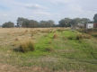Rural Business & Lifestyle  -  Freehold Available