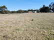Rural Business & Lifestyle  -  Freehold Available