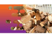 36722 Strong Hospitality Firewood Supply Business - Proven Earnings