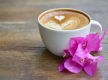 Cafe For Sale