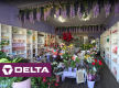 [ABS-102] FLORIST WITH 48 YEARS HISTORY FOR SALE