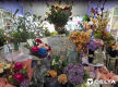 [ABS-102] FLORIST WITH 48 YEARS HISTORY FOR SALE