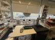 GEELONG HOME BREWING SUPPLIES FOR SALE - POA