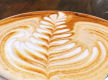 Cafe For Sale Macquarie Park Low Rent Long Lease