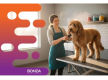 36775 Busy Dog Grooming Salon With Loyal Clientele