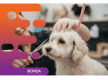 36775 Busy Dog Grooming Salon With Loyal Clientele