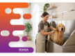 36775 Busy Dog Grooming Salon With Loyal Clientele