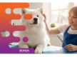 36775 Thriving Dog Grooming Business, Prime Main Road Position