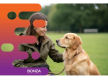36789 Leading Pet Solutions Business with Proven Systems