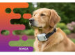 36789 Leading Pet Solutions Business with Proven Systems