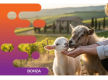 36744 Premium Experience Tourism Business, Multiple Revenue Streams