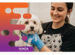 36800 Mobile Dog Washing Business Ready To Expand