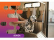 36800 Mobile Dog Washing Business With Loyal Client Base