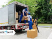 Moving/Removalist Service Business For Sale - REV 1M p.a (Our Ref: D2072)