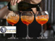 CAFE/BAR/RESTAURANT BUSINESS FOR SALE