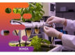 36824 - Niche Hydroponics Business - Growing Online Sales