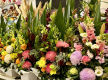 Florist and Giftware Business - Chaep Rent - Long Lease - Fully Managed