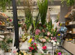 Florist and Giftware Business - Chaep Rent - Long Lease - Fully Managed
