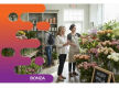 36827 - Thriving Florist Business Ready For Growth