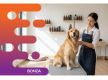 36834 - Dog Grooming, Daycare and Retail Space