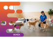 36834 - Dog Grooming, Daycare and Retail Space