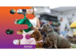 36834 - Dog Grooming, Daycare and Retail Space