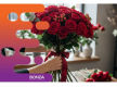 36838 Successful Florist with Strong Community Following