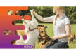 36875 Longstanding & Highly Reputable Dog Training Business - Proven Operation