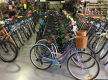 Sea Change Business Opportunity-Cycle your way to Hervey Bay