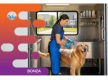 37007 - Mobile Pet Grooming Business Ready to Grow