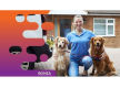 37007 Mobile Pet Grooming Business Ready to Grow