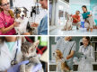 Exceptional  Veterinary Business for Sale  South East Of Victoria