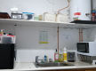 TRULOTUS WELLNESS & MASSAGE FOR SALE - POA