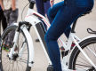 Established E-Bicycle Import and Wholesale Business - Ref: 13362