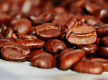 Thriving and Consistent Cafe in Fantastic N.O.R Location