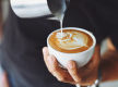 Dynamic Licensed Cafe Franchise - Toowoomba 5977
