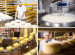 Premium Artisan Cheese Manufacturing & Retail Business | Dandenong, VIC