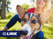 Freehold Pet Retreat, Residence & Established Business