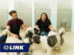 Freehold Pet Retreat, Residence & Established Business