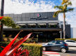 THE SPORTING GLOBE BAR & GRILL – CHERMSIDE