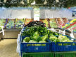 Outstanding General Store & Deli - Prime Main Road Location