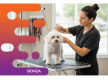 37066 High Demand Dog Grooming Salon With Growth Potential