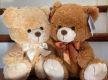 National Giftware Wholesaler with B2B Online Ordering Platform (Our Ref: V2106)