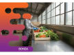 37104 Wholesale Produce Distribution Business - Strong Grower Relationships