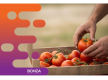37104 Wholesale Produce Distribution Business - Strong Grower Relationships