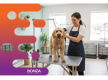 37107 - Reputable Dog Grooming and Pet Supplies Business