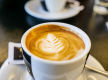 Well-Presented Cafe & Coffee Opportunity in a Prime Location
