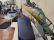 Established Business with Outstanding Growth Potential